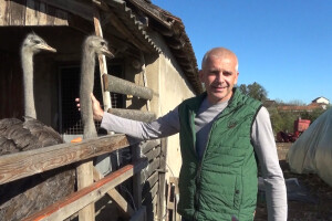 Domaćinstvo Dragana Markovića sada ima nojeve, kad nabavi lame i magarce - biće etno