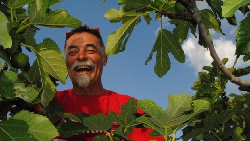 Smokva na uložena 2 vraća 30 eura!