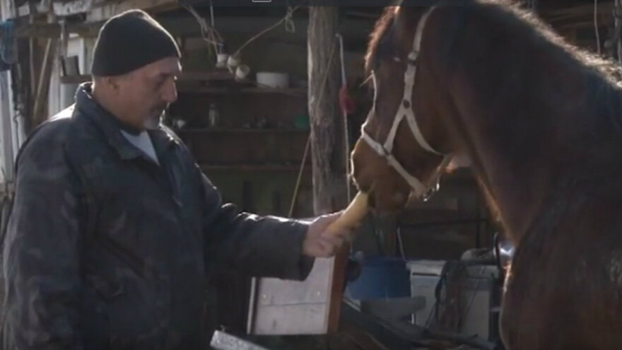 Mini ZOO vrt - oaza mira