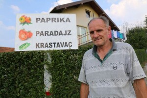 Tri porodice iz Velike Kladuše - tri uspješne priče o plasteničkoj proizvodnji