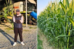 Dragan Zvonar bez navodnjavanja lani ostvario 17,2 t/ha kukuruza