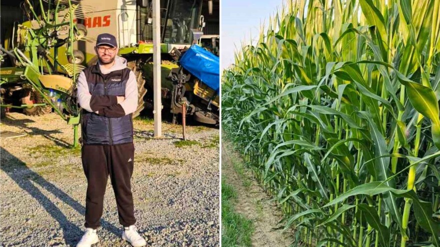 Dragan Zvonar bez navodnjavanja lani ostvario 17,2 t/ha kukuruza