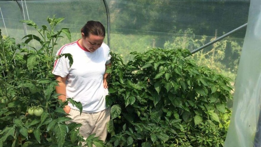 OPG Duk posvetio se starim sortama povrća, želite li vratiti okuse djetinjstva, tu smo za vas