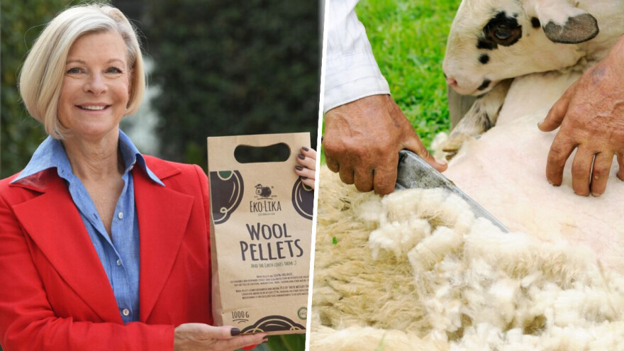 Dragica Jerkov: Od ovčje vune proizvodimo dušično gnojivo i zaštitu od puževa