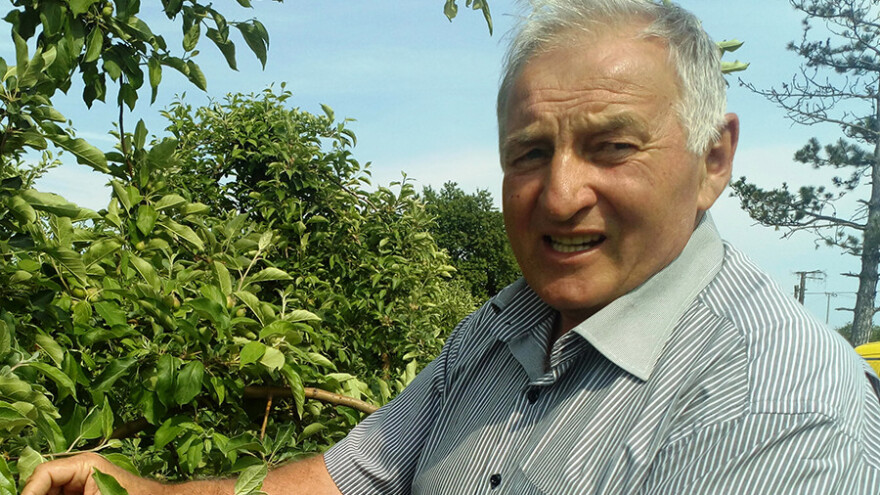 Dragoja Dojčinović: Zadovoljni smo iznosom premija za voće