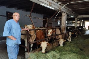Drago ne miruje u 78. godini života: Moje radno mjesto je u štali, ne mogu čuvati kauč