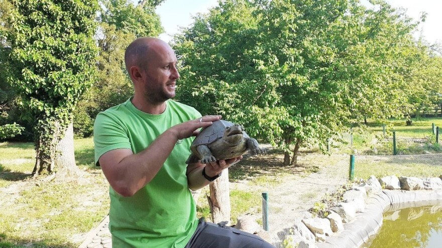 Dravska priča: Vrstama riba najbogatija hrvatska rijeka, dom je autohtonoj jastrebači i crnki