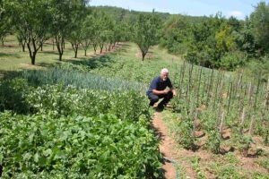 100 hortikulturnih vrsta Dražena Rančića