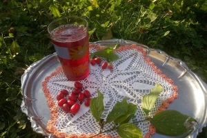 Dren - sok ili džem, šta god izaberete, nećete pogrešiti