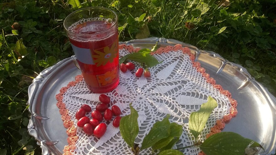 Dren - sok ili džem, šta god izaberete, nećete pogrešiti