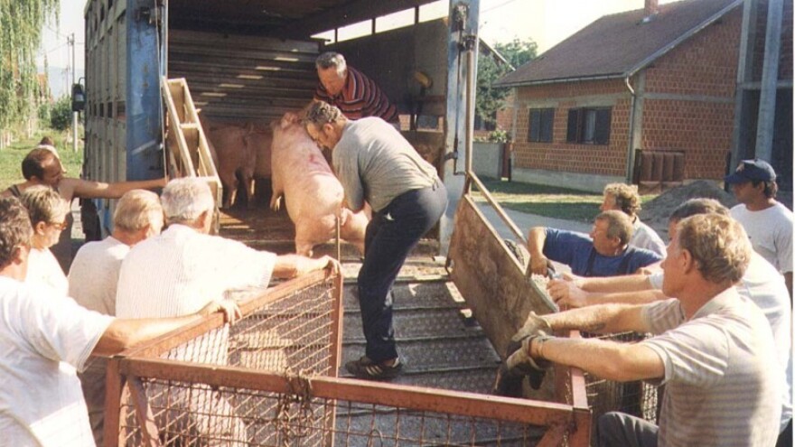 Za sada novac stiže na kapaljku?