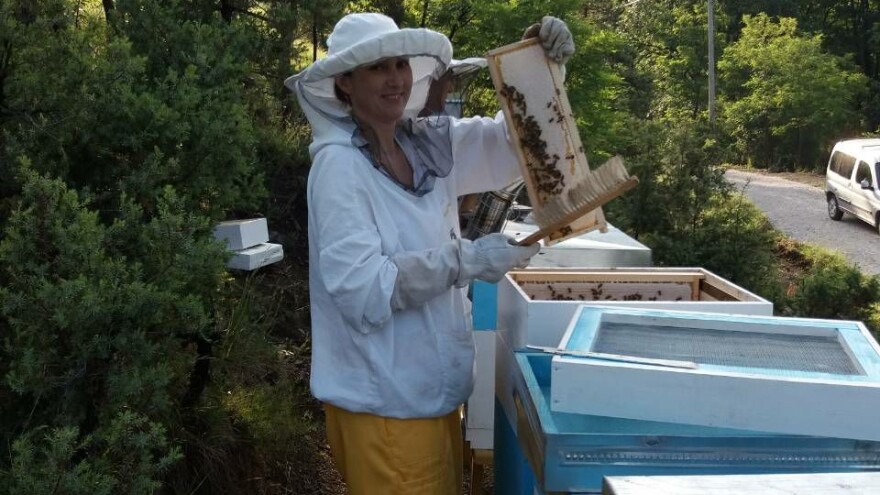 Pčelarenje i zimnica za prosečnu srpsku platu