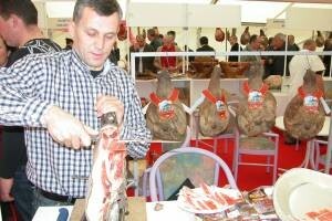 Dugoročni dalmatinski projekti za naraštaje