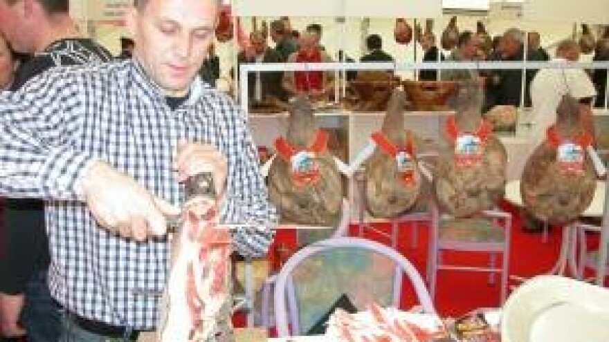 Dugoročni dalmatinski projekti za naraštaje