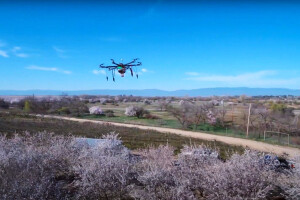 Dron u sat vremena opraši do 10 hektara nasada voća?
