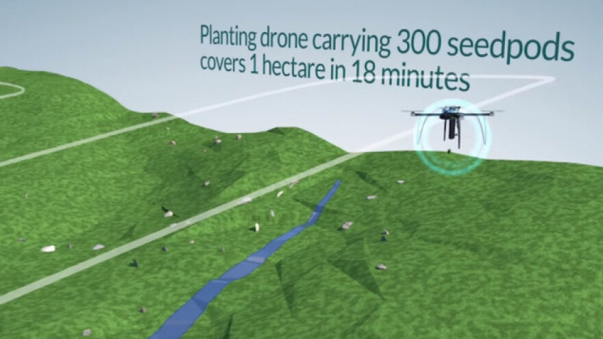 Sadnja drveća pomoću drona