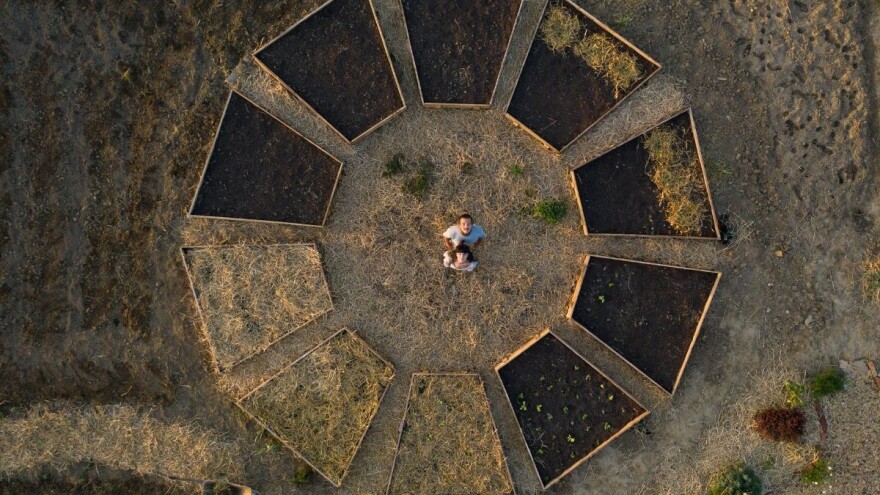 Sun and Moon Garden: nekadašnju oranicu pretvaraju u šumski vrt