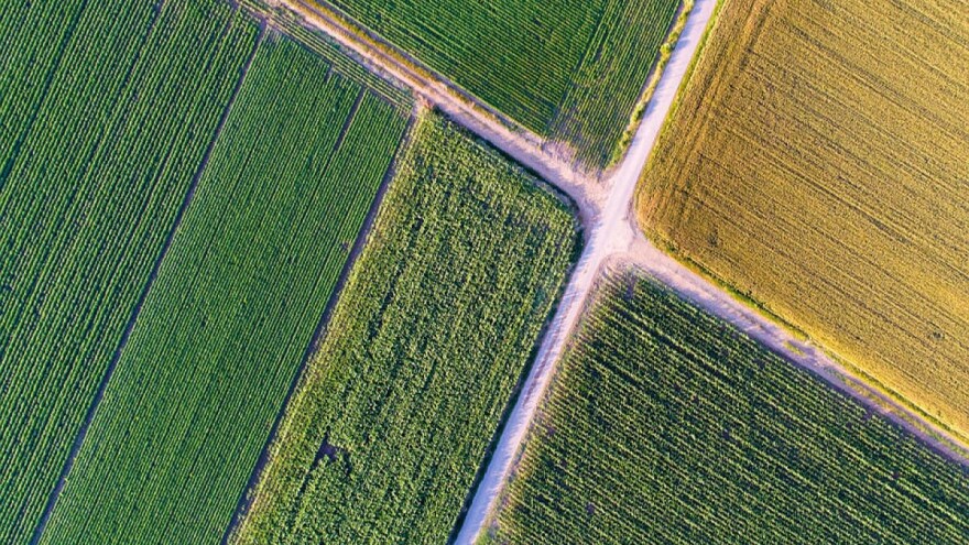 Da li će poljoprivredi budućnosti trebati poljoprivrednik?