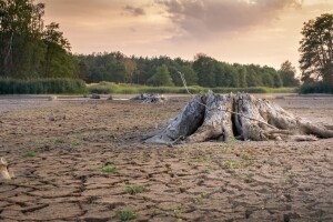 El Niño - čeka li nas ove godine i što to znači za 2019.?