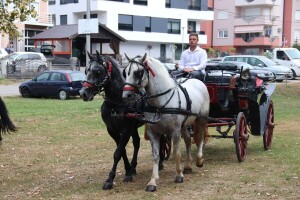 Konji prodefilovali prnjavorskim ulicama, izabrani najljepši