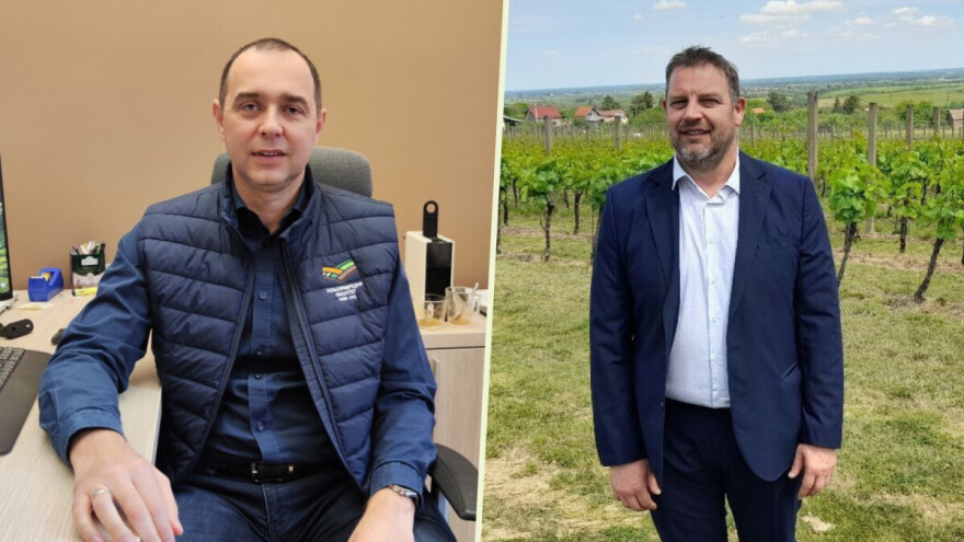 Projekat Srbije i Hrvatske za prilagođavanje vinove loze klimatskim promenama