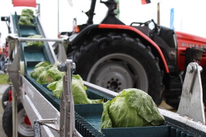 Podnijeli ste zahtjev za proizvodno vezanu potporu? Evo kako da ne ostanete bez nje