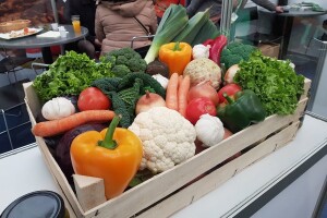 Savjet za Slavoniju, Baranju i Srijem usvojio je 10 zaključaka - što će pomoći razvoju?