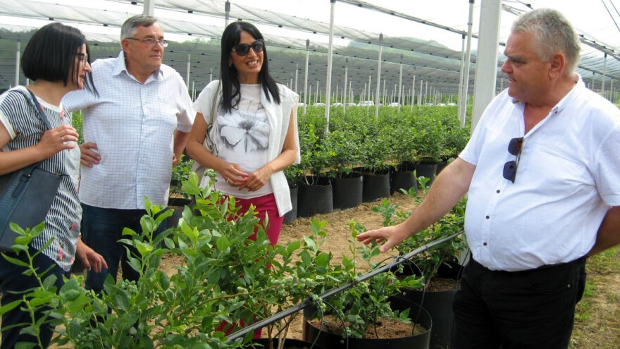 Na 4. Sabor voćara "Gruža 2022" stižu eminentni stručnjaci