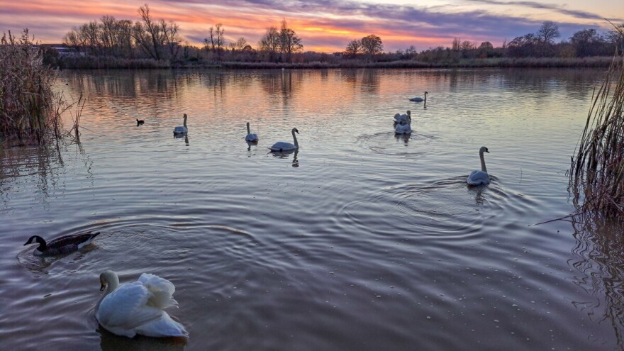 Drugi slučaj ptičje gripe potvrđen u Koprivničko-križevačkoj županiji