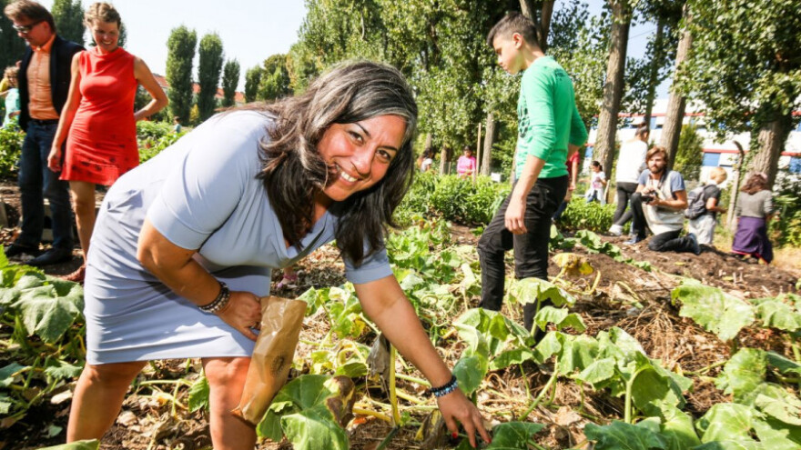 Društveni vrtovi sve popularniji u gradovima EU!
