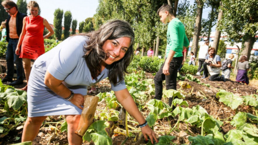 Društveni vrtovi sve popularniji u Beču