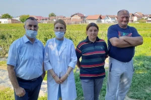 U Domu za lica sa invaliditetom ovih dana bašte su prepune domaće uzgojenog povrća