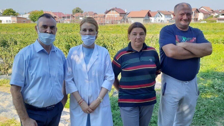 U Domu za lica sa invaliditetom ovih dana bašte su prepune domaće uzgojenog povrća