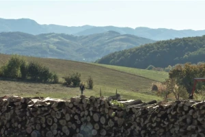 Više desetina kubika drva za najsiromašnije porodice isečeno kroz seosku mobu