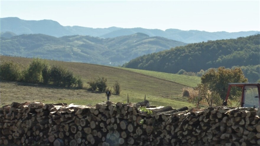 Više desetina kubika drva za najsiromašnije porodice isečeno kroz seosku mobu