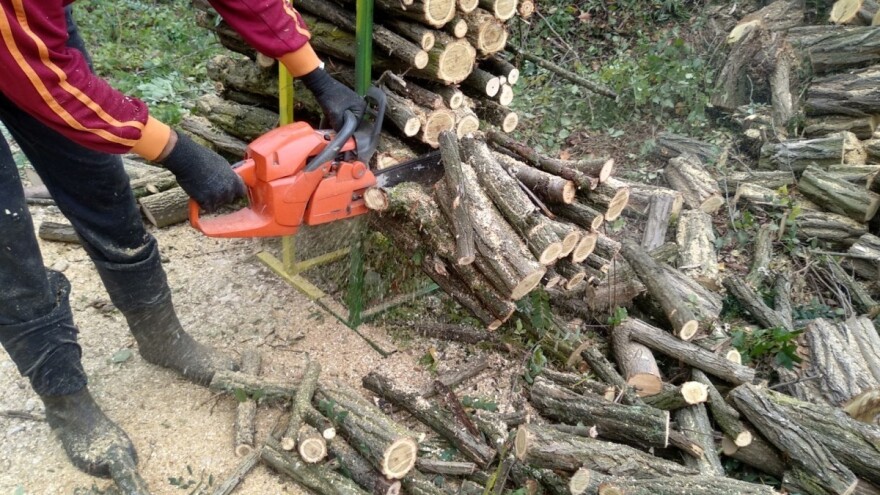Hoće li BiH produžiti zabranu izvoza ogrjevnog drveta?