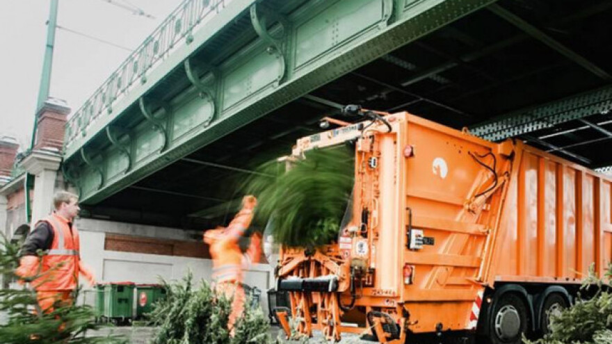 Islužena božićna drvca pretvaraju u energiju
