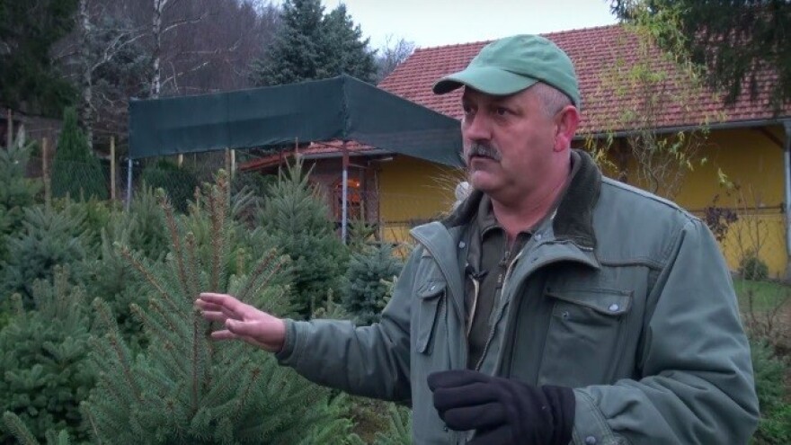 Kupci zahtijevaju domaća drvca s deklaracijom