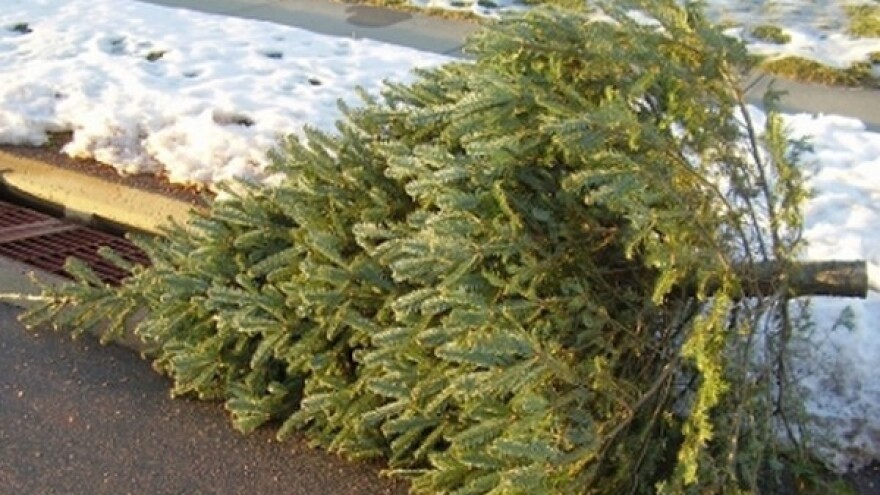 Što s božićnim drvcem kada prođu blagdani?