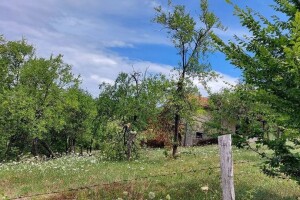 Nevrijeme nanijelo štetu voćarima, otkupna cijena ipak dobra jer je malo voća?