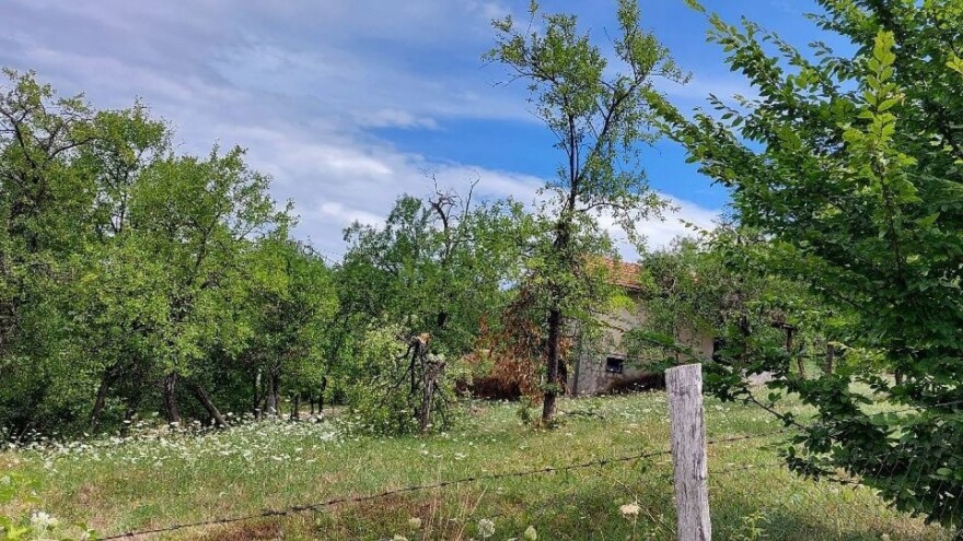 Nevrijeme nanijelo štetu voćarima, otkupna cijena ipak dobra jer je malo voća?