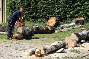 Prioritet treba biti smanjenje krčenja šuma u zemljama u razvoju!