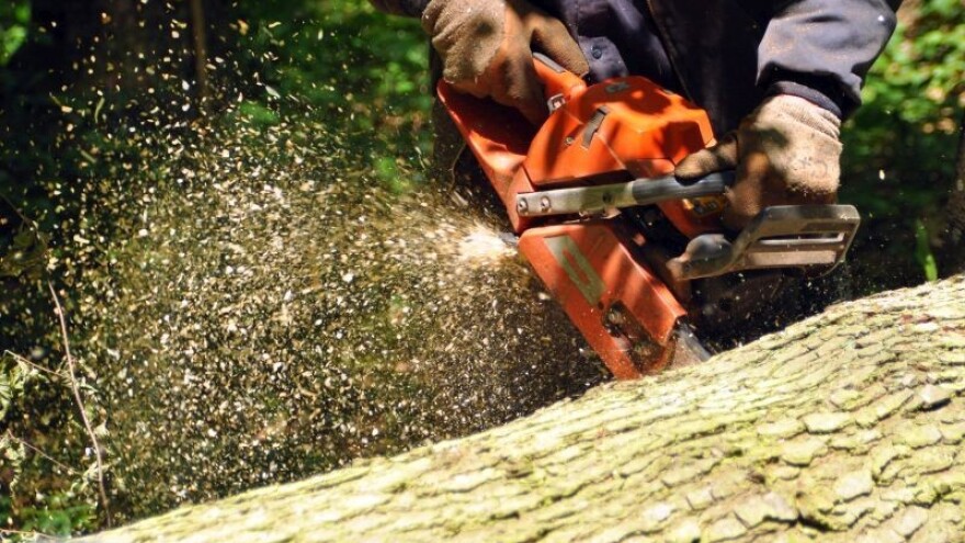Zajednički nastup na trećim tržištima?