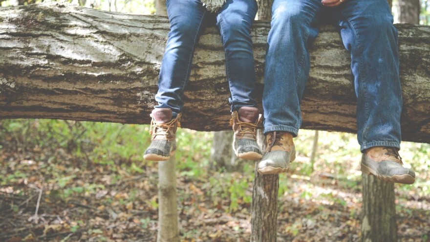 Tolušić: Sutra se potpisuju ugovori za dodjelu drvne mase, objavit ćemo količine i potpisnike