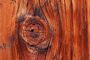 Nepovratna sredstva za poticanje razvoja drvne industrije