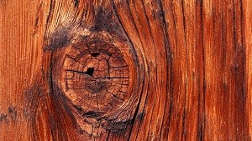 Nepovratna sredstva za poticanje razvoja drvne industrije