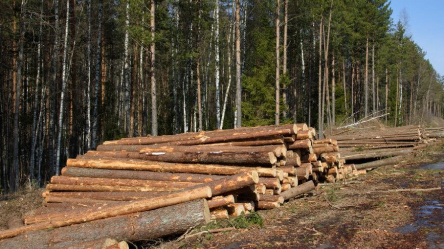 U potrazi za pravednijom raspodjelom drvne sirovine