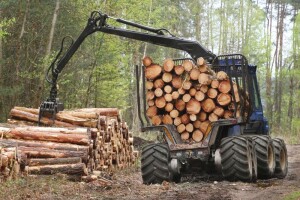 Drvoprerađivači zaslužni za desetinu izvoza