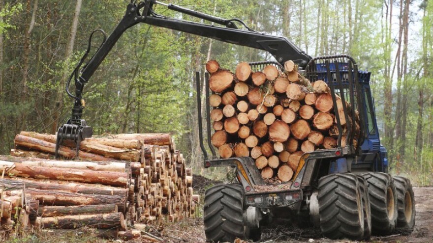 Drvoprerađivači zaslužni za desetinu izvoza