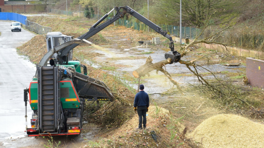 Natječaj: 5,3 milijuna kuna za preradu drva